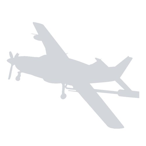 Cessna Airplane Briefing Stick