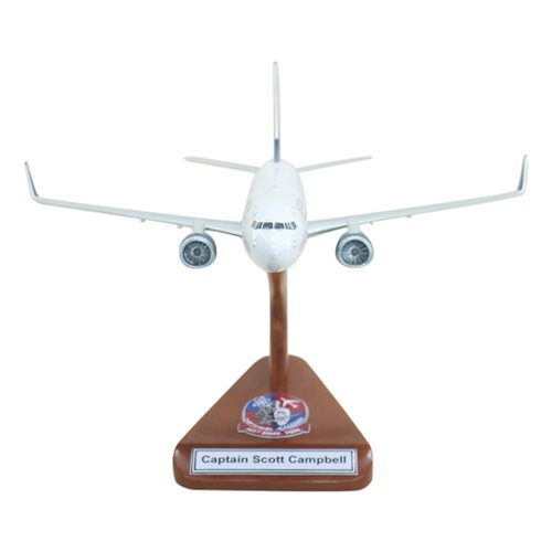 Delta Airlines Boeing 737-900ER Custom Aircraft Model - View 3