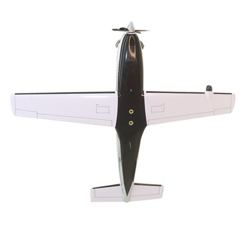 SOCATA TBM 850 Airplane Model - View 7