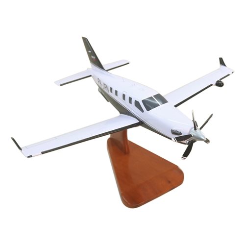 SOCATA TBM 900 Airplane Model - View 5