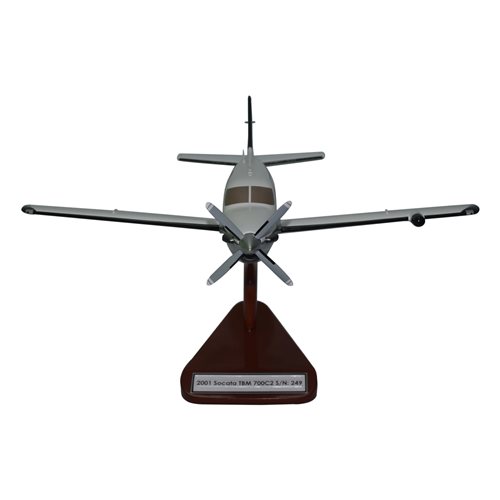 SOCATA TBM 700 Airplane Model - View 3