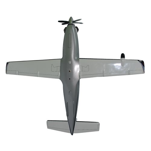 SOCATA TBM 700 Airplane Model - View 7