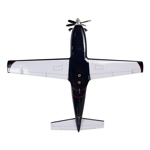 SOCATA TBM 700 Airplane Model - View 7