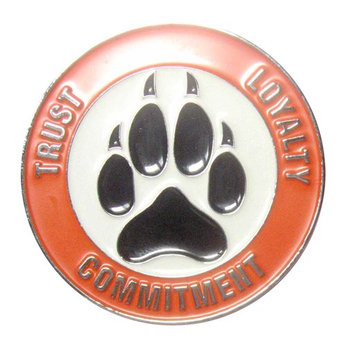 173 LRS Wolfpack Challenge Coin - View 2