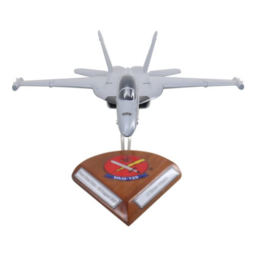 VAQ-129 EA-18G Custom Airplane Model  - View 3