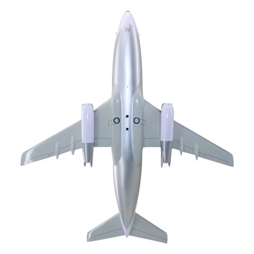 Delta Express Boeing 737-200 Custom Airplane Model - View 7