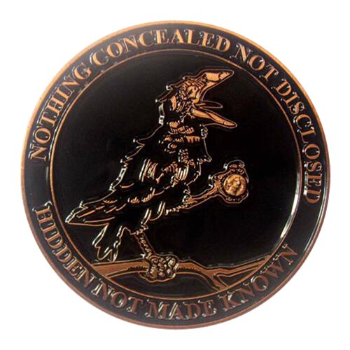 38 IS Challenge Coins - View 2