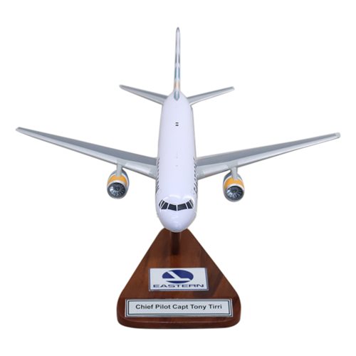 Eastern Airlines Boeing 767-300 Custom Aircraft Model - View 3