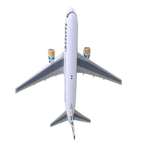 Eastern Airlines Boeing 767-300 Custom Aircraft Model - View 6