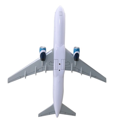 Eastern Airlines Boeing 767-300 Custom Aircraft Model - View 7