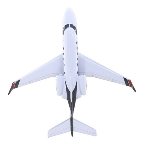 Embraer Phenom 300 Custom Airplane Model  - View 6