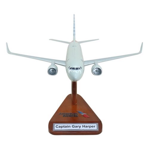 Airlines Boeing 737-800 Custom Airplane Model  - View 3
