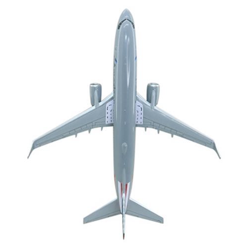 Airlines Boeing 737-800 Custom Airplane Model  - View 6