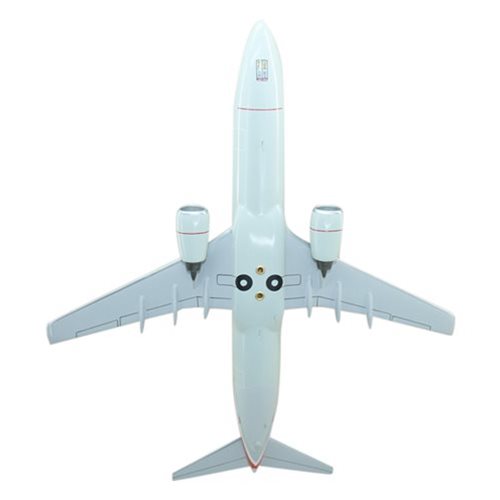 Airlines Boeing 737-800 Custom Airplane Model  - View 7
