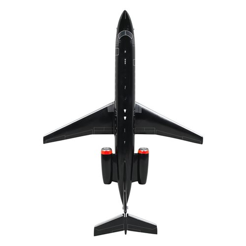 Embraer 100 Custom Airplane Model  - View 6