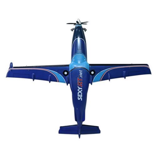 PC-12 Custom Model - View 10