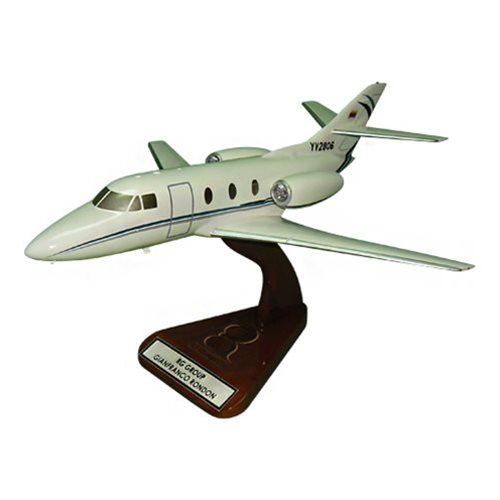 Falcon 10 Custom Airplane Model