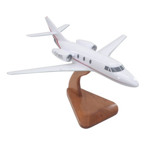 Falcon 10 Custom Airplane Model - View 5