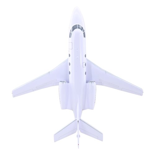 Falcon 10 Custom Airplane Model - View 6