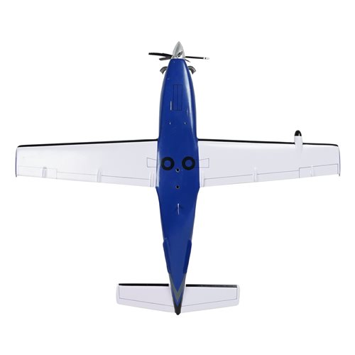SOCATA TBM 900 Airplane Model - View 7
