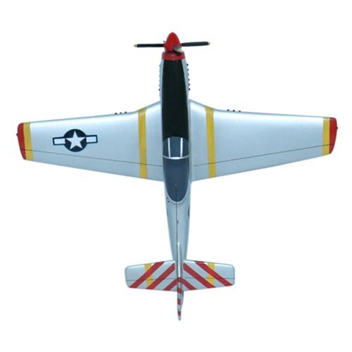 P-51 Mustang Custom Model  - View 8