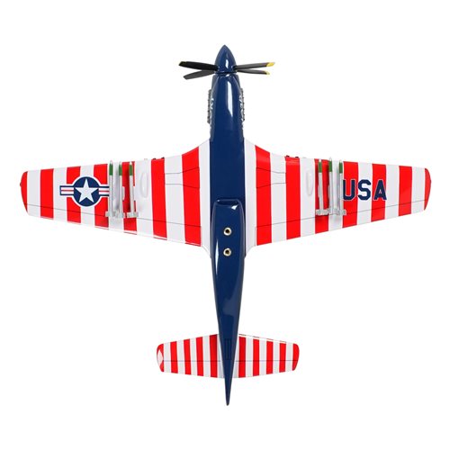 P-51 Mustang Custom Model  - View 9