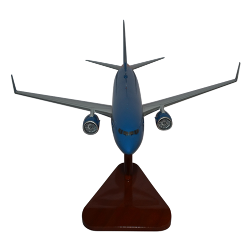 Southwest Boeing 737-800 Custom Airplane Model  - View 3