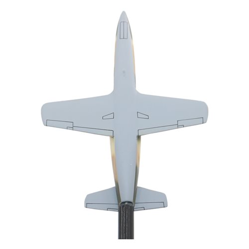 Israeli Air Force L-39C Albatros Briefing Stick - View 6