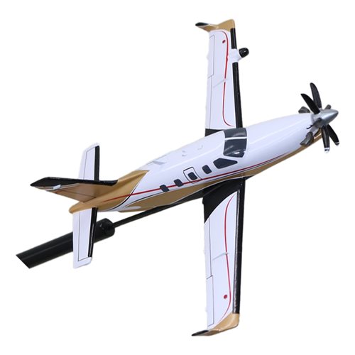 SOCATA TB 30 Epsilon Briefing Stick - View 6