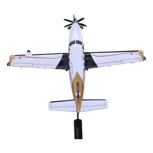 SOCATA TB 30 Epsilon Briefing Stick - View 7