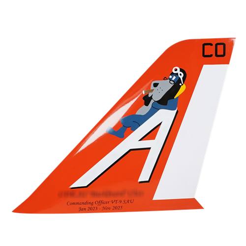 VT-9 T-45C Goshawk Tail Flash - View 2
