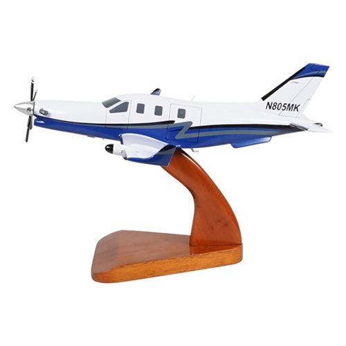 SOCATA TBM 900 Airplane Model - View 2