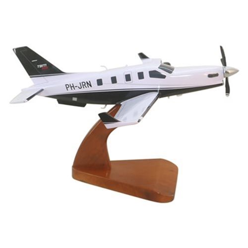 SOCATA TBM 900 Airplane Model - View 4