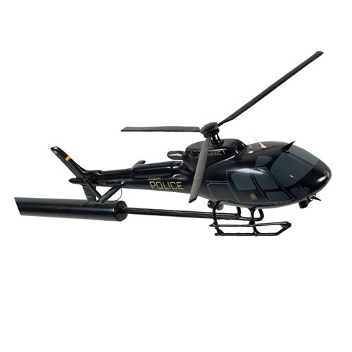 Design Your Own Airbus H125/Eurocopter AS350 Briefing Sticks - View 4
