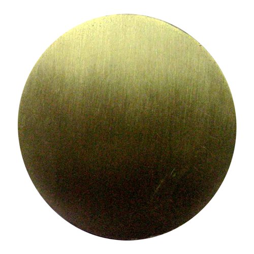 DODEA Europe Model Senate Challenge Coin  - View 2