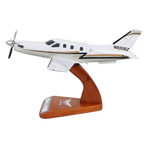 SOCATA TBM 850 Airplane Model - View 3