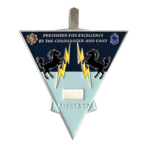 791 MSFS Commander Challenge Coin - View 2