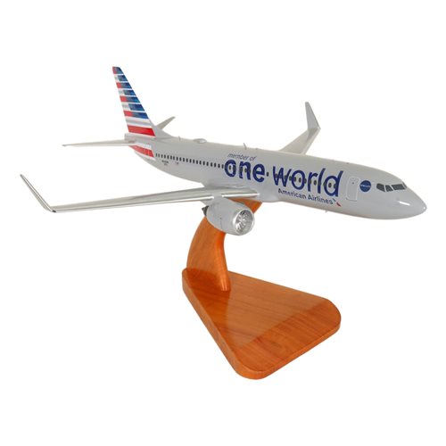 Airlines Boeing 737-800 Custom Airplane Model  - View 5
