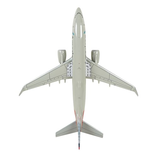 Airlines Boeing 737-800 Custom Airplane Model  - View 8