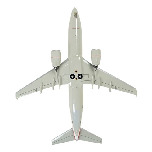 Airlines Boeing 737-800 Custom Airplane Model  - View 9