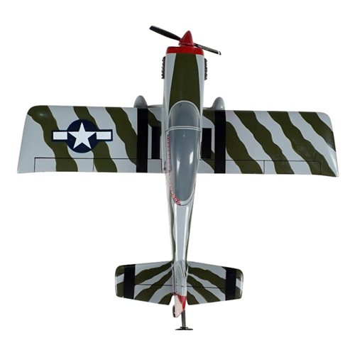 RV-8/8A Van's RV Custom Airplane Model Briefing Sticks - View 9