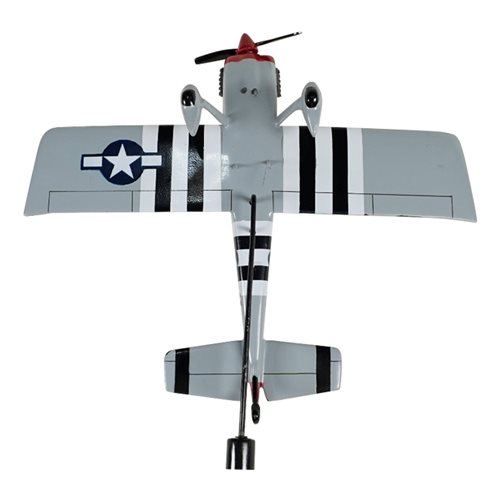 RV-8/8A Van's RV Custom Airplane Model Briefing Sticks - View 10