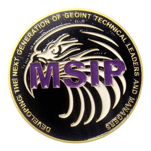 USSF MSIP Gaggle Challenge Coin