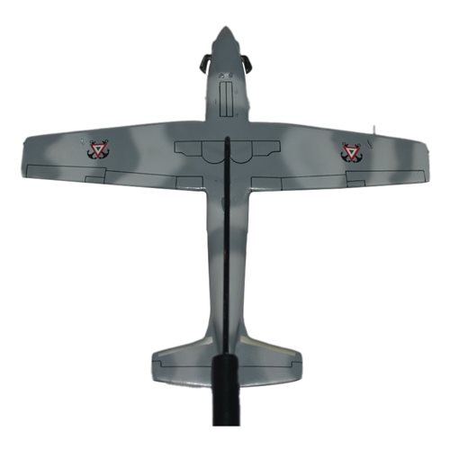 Mexican Air Force T-6C Texan II Briefing Stick - View 6