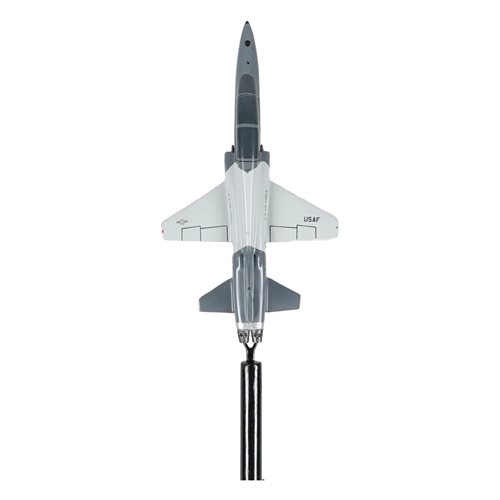 416 FLTS T-38 Talon Briefing Stick - View 5
