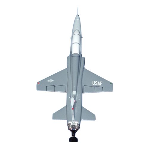 434 FTS T-38 Talon Briefing Stick - View 5