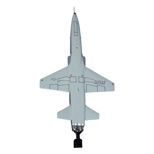 434 FTS T-38 Talon Briefing Stick - View 6