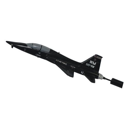 509 BW T-38 Talon Briefing Stick - View 2