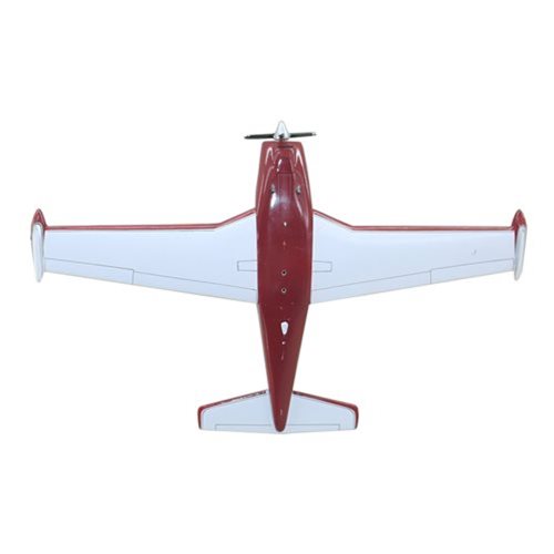 Piper PA-24-250 Comanche Custom Aircraft Model - View 9