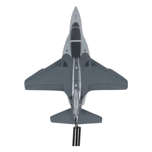 Republic of Singapore Air Force M-346 Briefing Stick - View 5